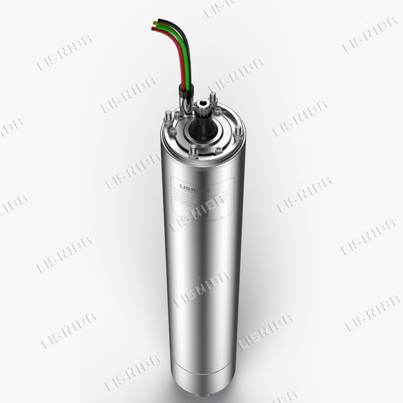 力士霸泵業(yè)詳解什么是潛水電機(jī)？(圖1)