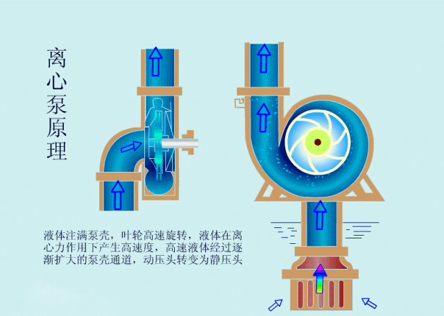 科普之離心泵啟動(dòng)時(shí)，出口閥門(mén)必須關(guān)閉嗎？(圖2)